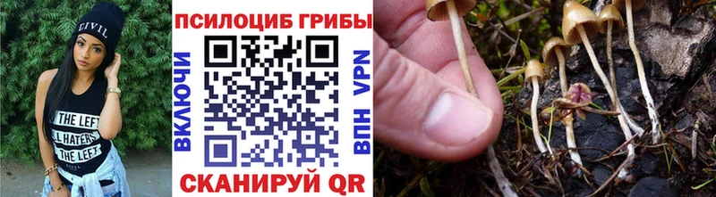 Галлюциногенные грибы ЛСД  кракен зеркало  Кондопога 